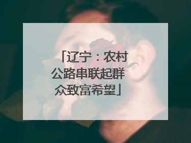辽宁：农村公路串联起群众致富希望