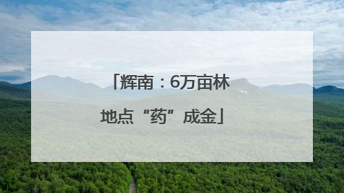 辉南：6万亩林地点“药”成金