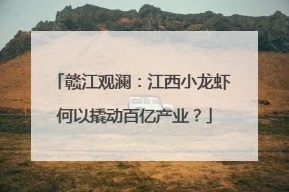 赣江观澜：江西小龙虾何以撬动百亿产业？