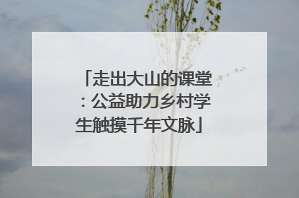 走出大山的课堂：公益助力乡村学生触摸千年文脉