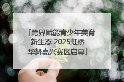 跨界赋能青少年美育新生态 2025虹桥华舞嘉兴赛区启幕
