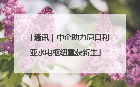 通讯｜中企助力尼日利亚水电枢纽重获新生