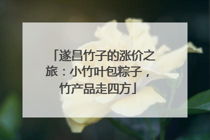 遂昌竹子的涨价之旅：小竹叶包粽子，竹产品走四方