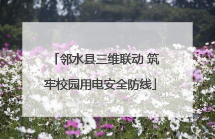 邻水县三维联动 筑牢校园用电安全防线