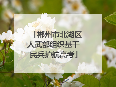 郴州市北湖区人武部组织基干民兵护航高考