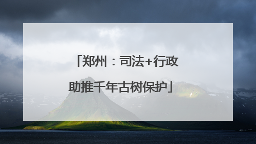 郑州：司法+行政助推千年古树保护