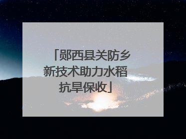 郧西县关防乡新技术助力水稻抗旱保收