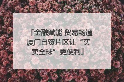 金融赋能 贸易畅通 厦门自贸片区让“买卖全球”更便利
