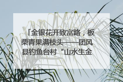 金银花开致富路，板栗青果满枝头——团风县钓鱼台村“山水生金”谱写共富新篇章