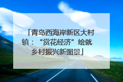 青岛西海岸新区大村镇：“赏花经济”绘就乡村振兴新图景