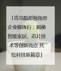 青岛隐形独角兽企业媒体行：揭秘智能家居、芯片技术等创新亮点 共绘科技新篇章