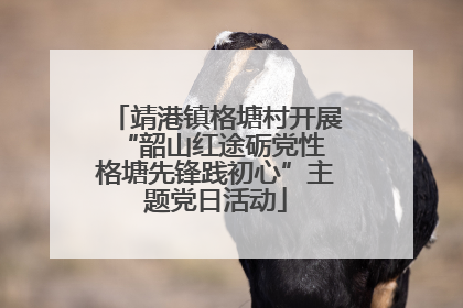 靖港镇格塘村开展“韶山红途砺党性 格塘先锋践初心”主题党日活动