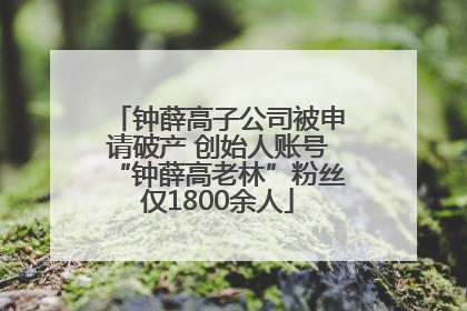 钟薛高子公司被申请破产 创始人账号“钟薛高老林”粉丝仅1800余人