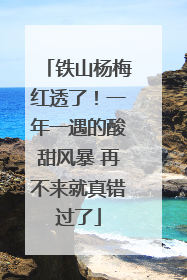 铁山杨梅红透了！一年一遇的酸甜风暴 再不来就真错过了
