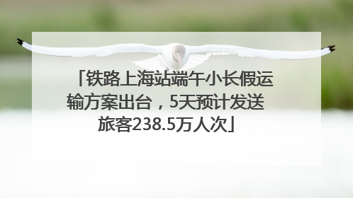 铁路上海站端午小长假运输方案出台，5天预计发送旅客238.5万人次