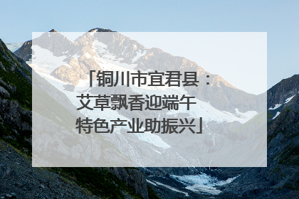 铜川市宜君县：艾草飘香迎端午 特色产业助振兴