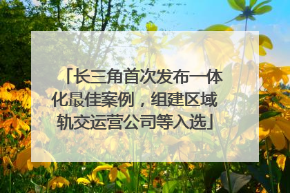 长三角首次发布一体化最佳案例，组建区域轨交运营公司等入选