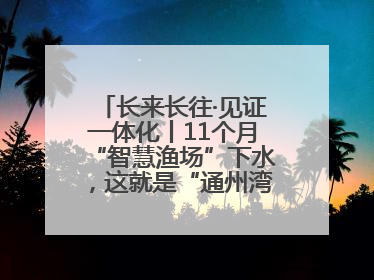 长来长往·见证一体化丨11个月“智慧渔场”下水，这就是“通州湾速度”！
