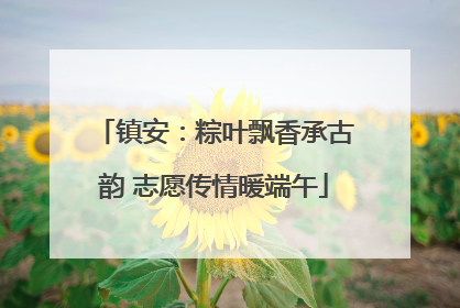 镇安：粽叶飘香承古韵 志愿传情暖端午