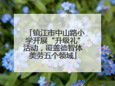 镇江市中山路小学开展“升级礼”活动，覆盖德智体美劳五个领域
