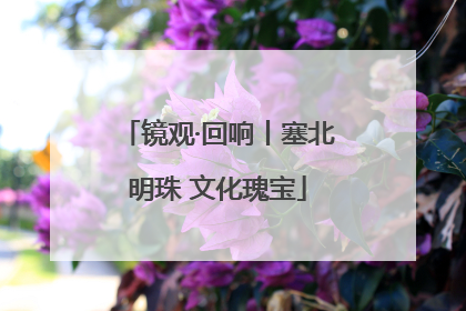 镜观·回响丨塞北明珠 文化瑰宝
