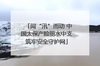 闻“汛”而动 中国太保产险丽水中支筑牢安全守护网