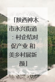 陕西神木市永兴街道：村企结对促产业 和美乡村展新颜