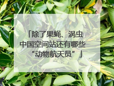 除了果蝇、涡虫 中国空间站还有哪些“动物航天员”