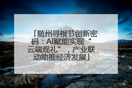 随州寻根节创新密码：AI赋能实现“云端观礼”，产业联动助推经济发展
