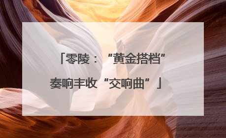 零陵：“黄金搭档”奏响丰收“交响曲”