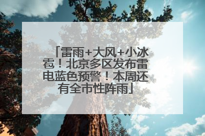雷雨+大风+小冰雹！北京多区发布雷电蓝色预警！本周还有全市性阵雨
