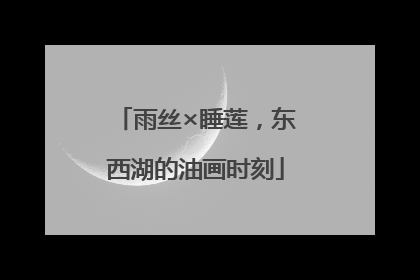 雨丝×睡莲，东西湖的油画时刻