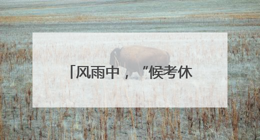风雨中，“候考休息车”向家长开放
