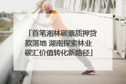 首笔湘林碳票质押贷款落地 湖南探索林业碳汇价值转化新路径