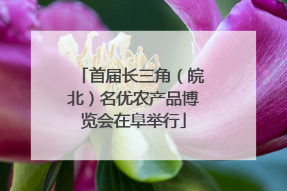 首届长三角（皖北）名优农产品博览会在阜举行