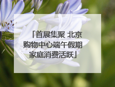 首展集聚 北京购物中心端午假期家庭消费活跃