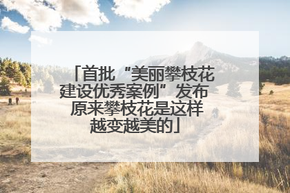 首批“美丽攀枝花建设优秀案例”发布 原来攀枝花是这样越变越美的