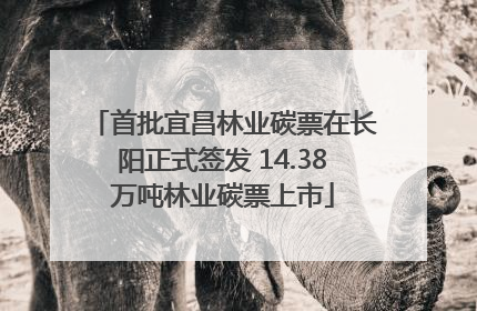 首批宜昌林业碳票在长阳正式签发 14.38万吨林业碳票上市