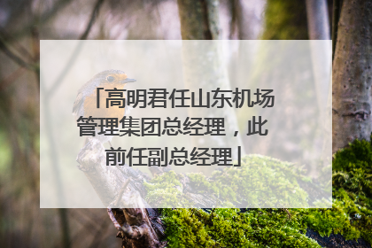 高明君任山东机场管理集团总经理，此前任副总经理