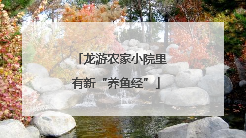 龙游农家小院里有新“养鱼经”