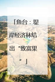鱼台：堤岸经济林结出“致富果”