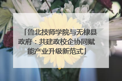 鲁北技师学院与无棣县政府：共建政校企协同赋能产业升级新范式