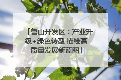 鲁山开发区：产业升级+绿色转型 描绘高质量发展新蓝图