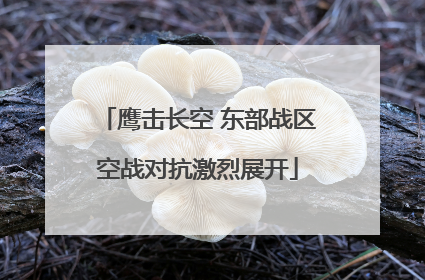 鹰击长空 东部战区空战对抗激烈展开