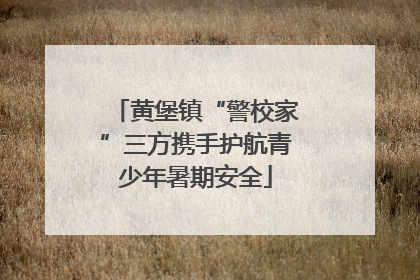 黄堡镇“警校家”三方携手护航青少年暑期安全
