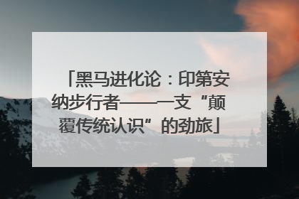 黑马进化论：印第安纳步行者——一支“颠覆传统认识”的劲旅