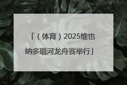 （体育）2025维也纳多瑙河龙舟赛举行