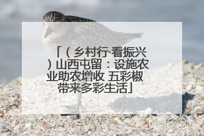 （乡村行·看振兴）山西屯留：设施农业助农增收 五彩椒带来多彩生活