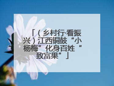 （乡村行·看振兴）江西铜鼓“小杨梅”化身百姓“致富果”
