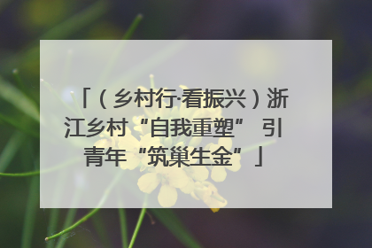 （乡村行·看振兴）浙江乡村“自我重塑” 引青年“筑巢生金”